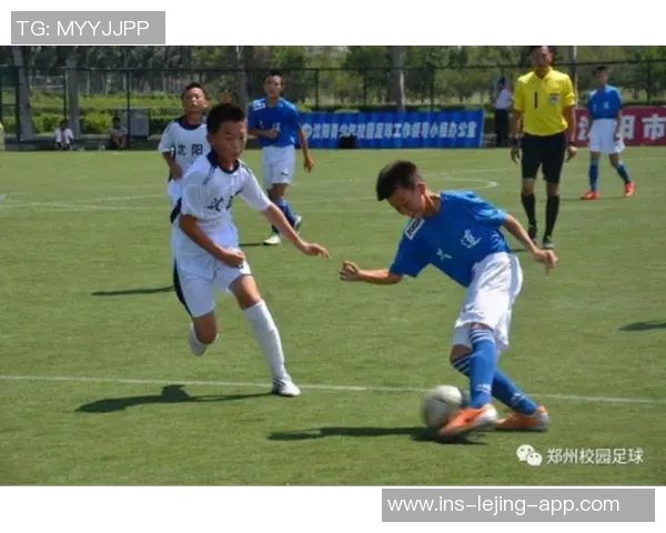 探索砂胆足球的魅力与发展历程，揭示这项运动背后的故事与未来潜力